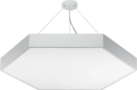 Подвесной светильник светодиодный ЭРА SPO-121-W-40K-038 d (220V, на тросе, IP40)