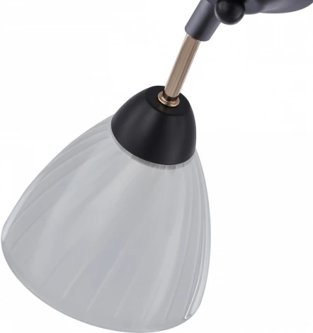 Потолочная люстра на штанге Arte Milano Napoli 324108/5 BK+FG (220V)