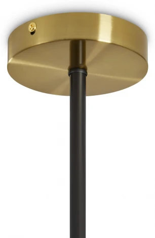 Потолочная люстра на штанге Freya Lora FR5432PL-06BBS (220V)