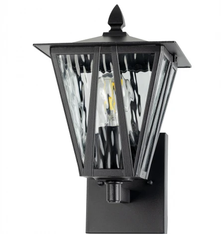 Настенный уличный светильник Citilux Forts CLU09W (220V, IP54)