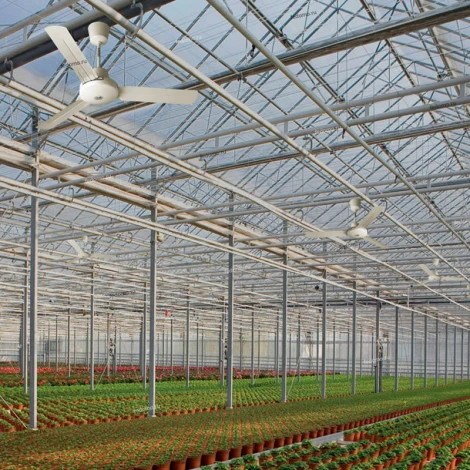 Вентилятор потолочный Vortice Nordik International Plus, 3 лопасти, белый