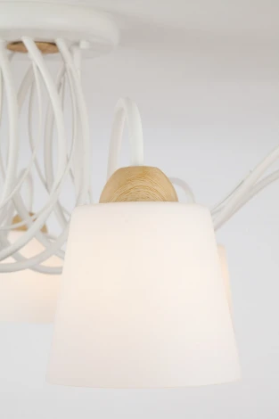 Потолочная люстра Eurosvet Betty 70062/8 белый (220V)