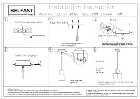 Подвесной светильник Belfast Ravenhill 3260-F BR MB