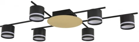 Потолочная люстра на штанге Lumion Benua 8304/6C золотой/черный, металл/акрил GX53 LED 6*7W 220V