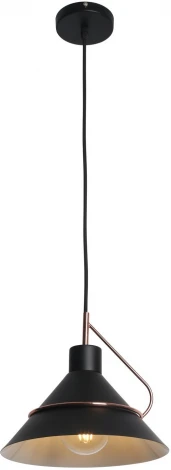 Подвесной светильник Freya Amis FR5025PL-01B