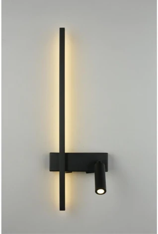 Настенный светильник с выключателем LED со спотом Aployt Reymand APL.342.01.13 (220V)