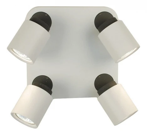 Спот Citilux Norman CL533541