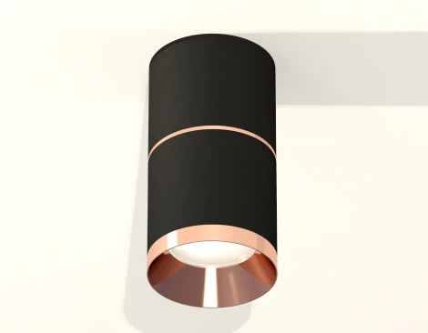 Накладной точечный светильник Ambrella Techno Spot XS7402201 (круглые)