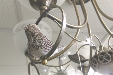 Потолочная люстра Lumion Horas 3403/5C