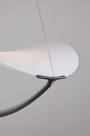 Подвесной светильник Zortes Quincy ZRS.1585.13