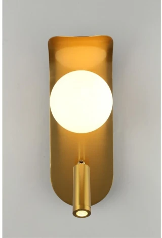 Настенный светильник LED Aployt Zofka APL.345.11.02 (220V, шар)