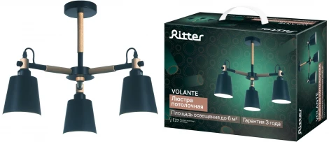 Потолочная люстра на штанге Ritter Volante 52447 2