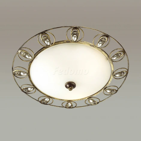 Настенно-потолочный светильник Odeon Light Kanti 3484/3C