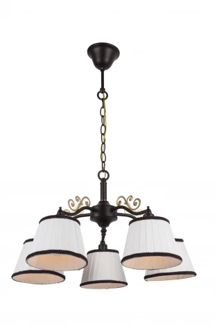 Подвесная люстра Arte Lamp Capri A6344LM-5BR