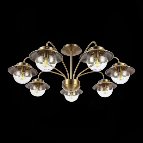 Потолочная люстра на штанге Evoluce Garonni SLE110102-07 (220V, шарики)