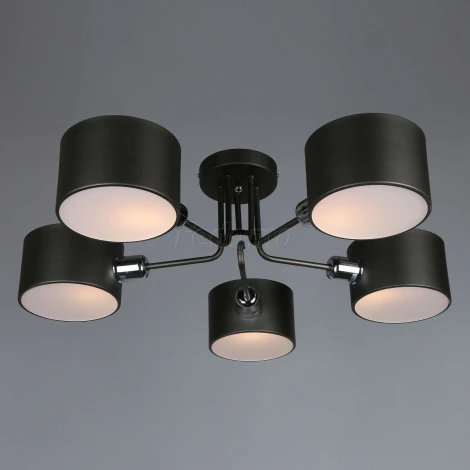 Потолочная люстра Omnilux Liser OML-54507-05 (220V)