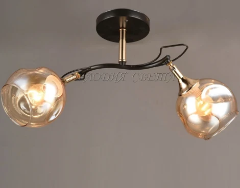 Потолочная люстра SS1N 000024865