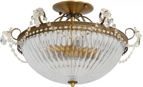 Потолочный светильник MW-Light Селена 482010204
