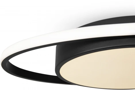 Потолочная люстра Freya Cosmic FR10015CL-L62B