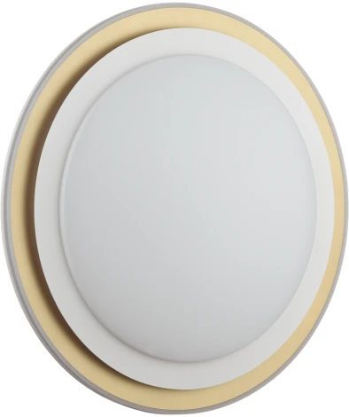 Настенно-потолочный светильник Setta 7630/EL