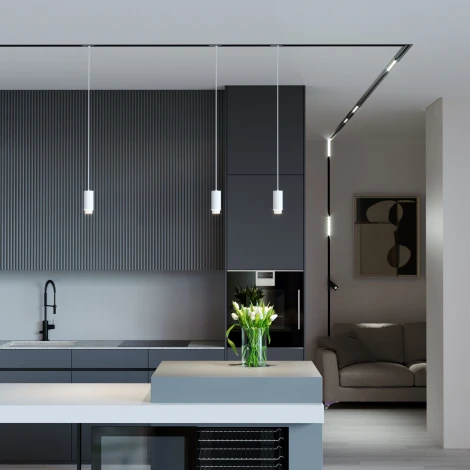 Трековый светильник однофазный Elektrostandard 85021/01 Nubis GU10 белый (220V, круглые)