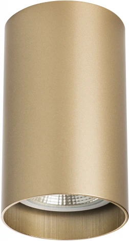 Точечный накладной светильник Lightstar Rullo 214440 (220V)