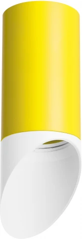 Точечный накладной светильник Rullo R43336 (214433+201436) (220V)