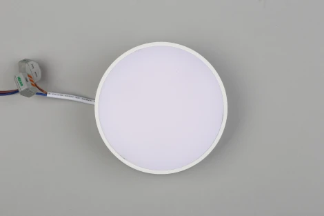 Потолочный светильник круглый Aployt Evon APL.0113.09.12 (LED, 220V, круглые)