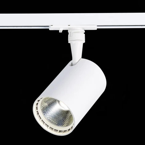 Трековый светильник ST Luce Cami ST351.536.20.36 (LED, 220V, круглые, IP22)