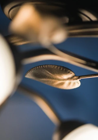 Потолочная люстра Lampex Bluszcz 090/3 C+M