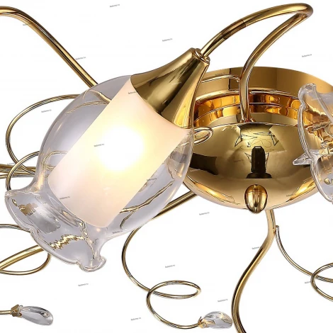 Потолочная люстра Arte Lamp Mughetto A9289PL-8GO