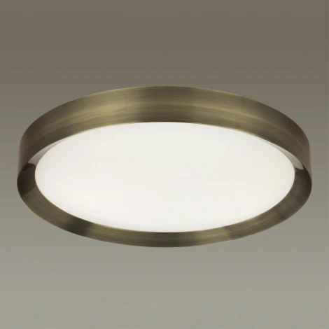 Настенно-потолочный светильник Odeon Light Lunor 4948/60CL