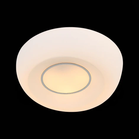 Настенно-потолочный светильник ST Luce Botone SL467.502.03