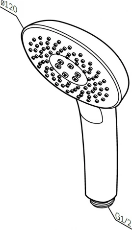 Душевая лейка Am.Pm Spirit V2.0 F0270A000