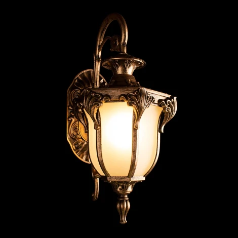 Настенный уличный фонарь Loft It Alessano 100017W (220V, IP55)