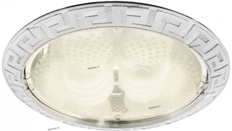 Встраиваемый точечный светильник Arte Lamp Downlights A8015PL-2SS