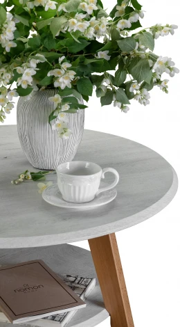 Стол журнальный BeautyStyle 17 дуб дымчатый/бук от фабрики Mebelik