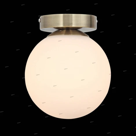 Настенно-потолочный светильник ST Luce Acini SL717.301.01