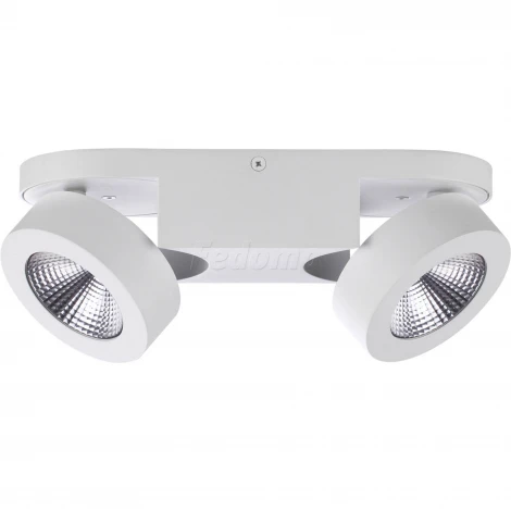 Спот Odeon Light Laconis 3538/2WL
