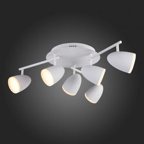 Потолочная люстра ST Luce Padivio SL387.501.06