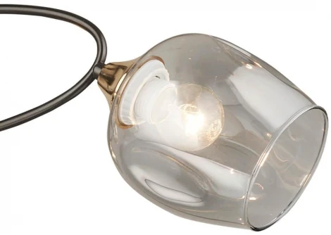 Потолочная люстра Wedo Light Lenyano 66660.01.15.03