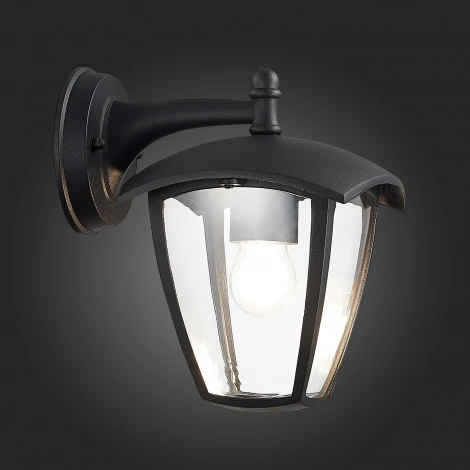 Настенный фонарь уличный ST Luce Sivino SL081.411.01