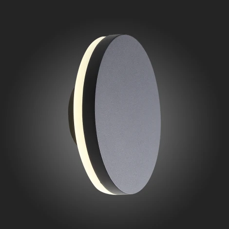 Настенный светильник уличный ST Luce Contario SL087.401.01 (LED, 220V, круглые, IP54)