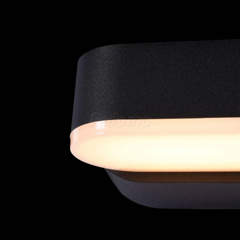 Настенный светильник уличный Maytoni Broadway O803WL-L6B
