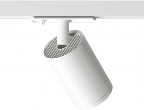 Трековый светильник Denkirs DK620 DK6201-WH (220V, круглые)
