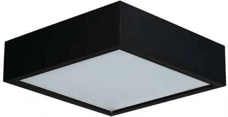 Потолочный светильник Kanlux MERSA 29051 (220V)