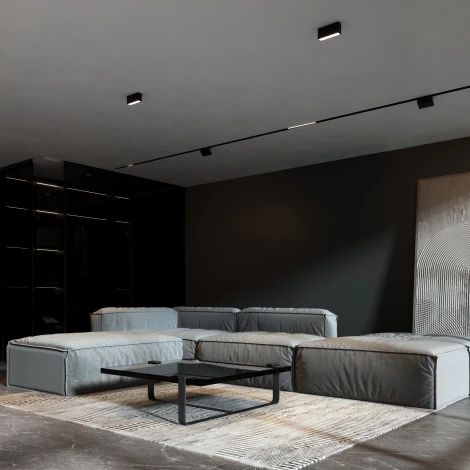 Светильник потолочный светодиодный Elektrostandard Block 25109/LED 10W 4000K черный