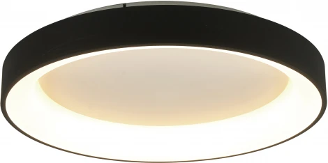 Потолочный светильник круглый Mantra Niseko 8640 (регулировка яркости, LED, 220V, пульт управления, круглые)