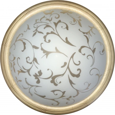 Настенно-потолочный светильник Toplight Phebe TL1126-1Y