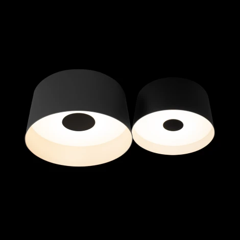 Подвесной светильник Loft It Duo 10360/2 (LED, 220V)